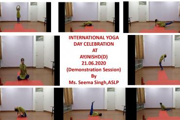 International Yoga Day Celebration on 21st June at AYJNISHD-Demonstration 